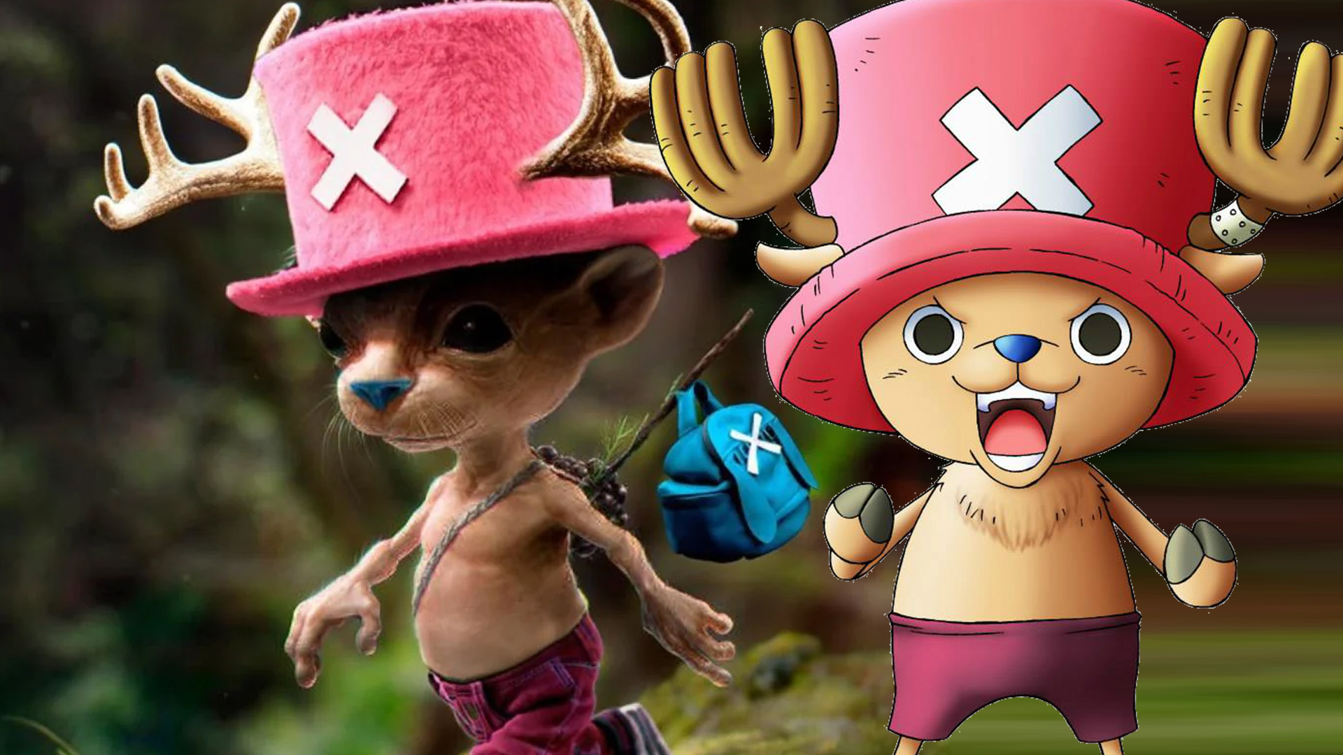 live action chopper one piece