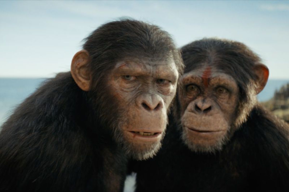 Kingdom of the Planet of the Apes Tampilkan Karakter Kera, Inilah 5 Wajah  Asli Para Pemerannya!