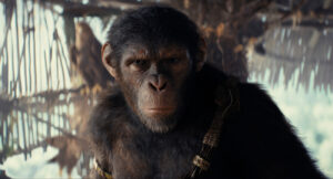 misteri kingdom of the planet of the apes