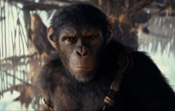 misteri kingdom of the planet of the apes